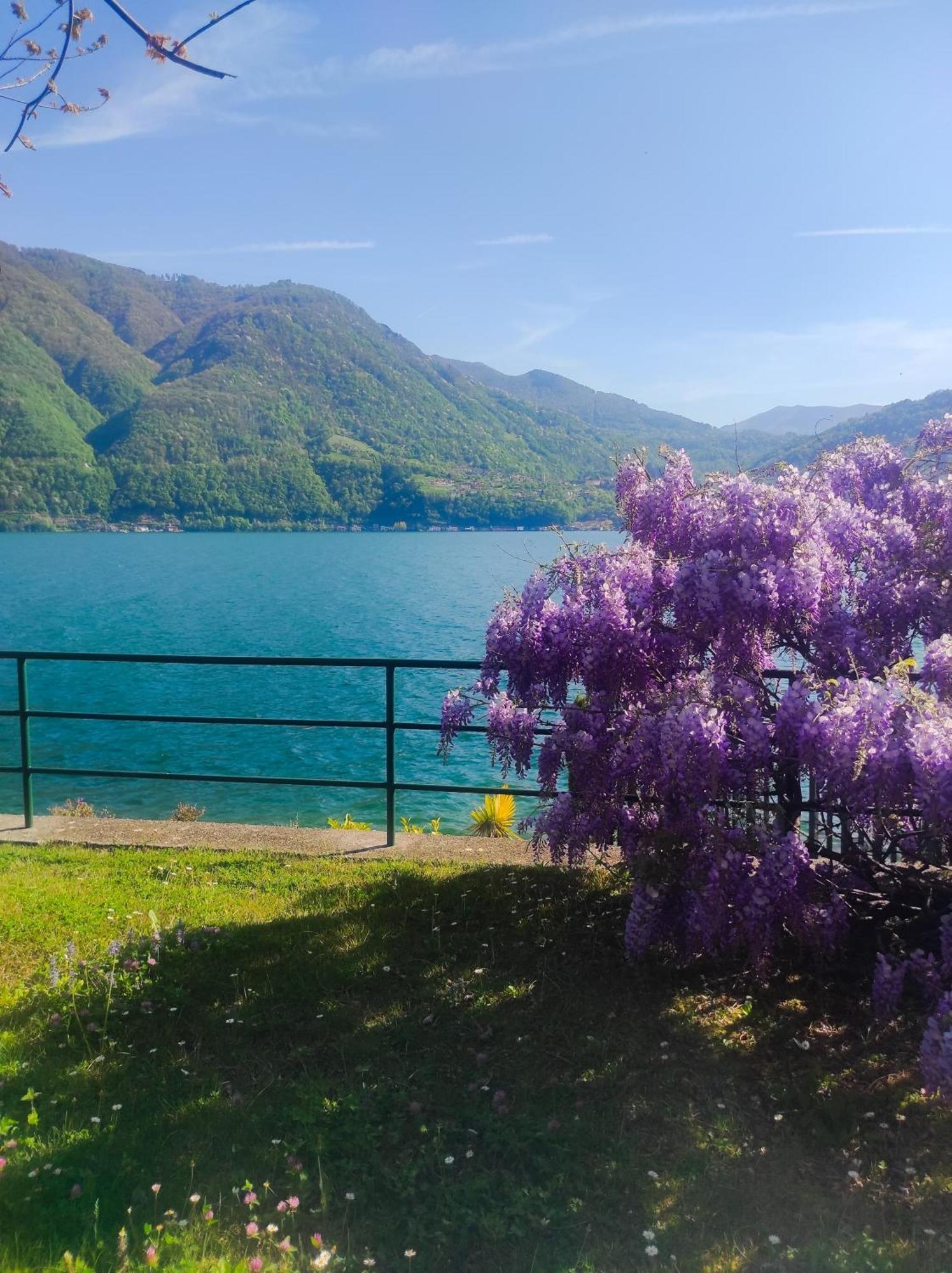 Lfsuite Luganolake Terrazza Spiaggia Privata Parking Wi-Fi Netflix Porlezza Exteriör bild